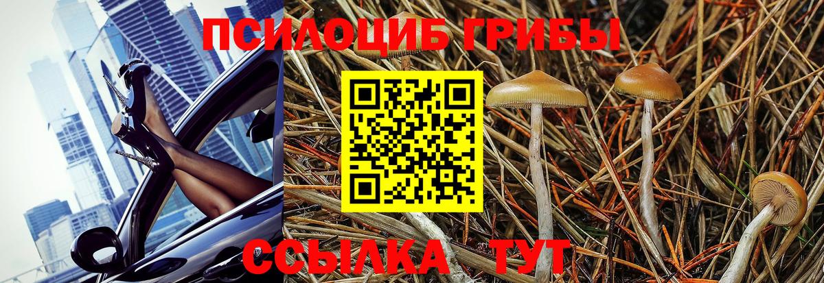 Прокопьевск  Псилоцибиновые грибы Psilocybe  Вход с VPN 